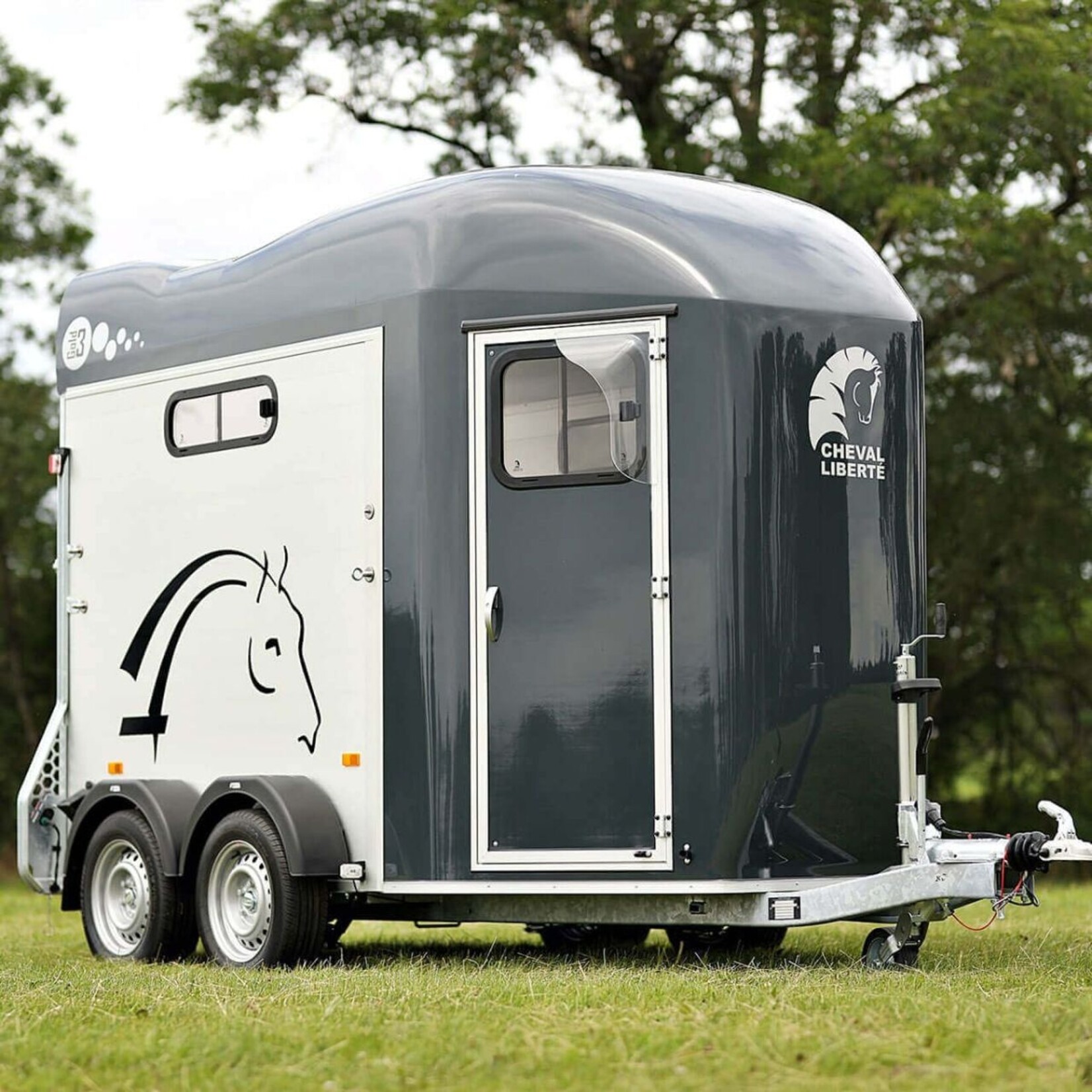 Cheval Liberté Concept aérodynamique.  Design moderne grand espace intérieur. Châssis Pullman 2.