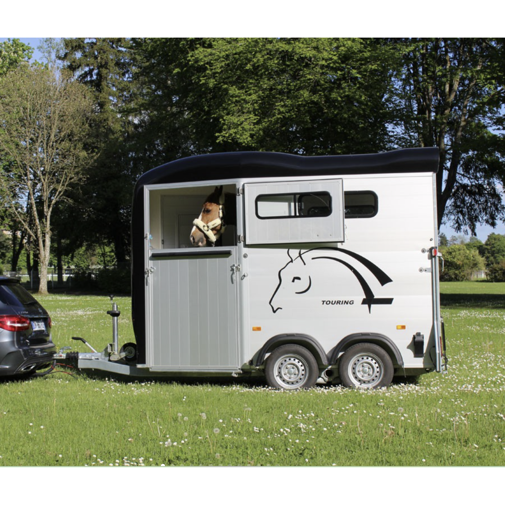 Cheval Liberté Cheval Liberté Touring One Pferdetransporter
