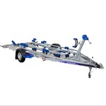 NIEWIADÒW Niewiadow P1555H