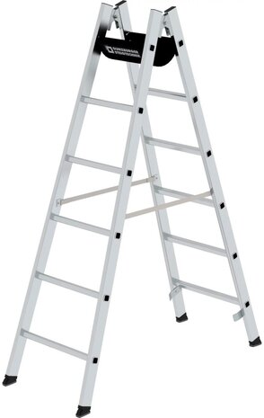 Roossien Aluminium dubbele ladder, 2x6 sporten