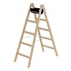 Roossien Houten dubbele ladder, 2x5 sporten