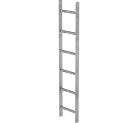 Roossien Stalen putladder, 6 sporten (340mm breed)