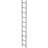 Roossien Stalen putladder, 10 sporten (340mm breed)