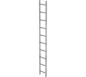 Roossien Stalen putladder, 10 sporten (340mm breed)