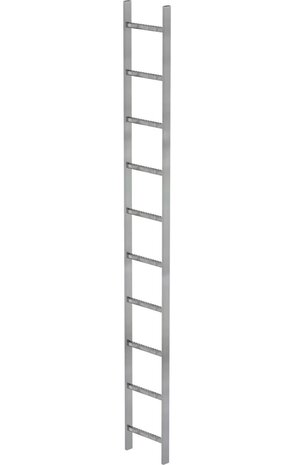 Roossien Stalen putladder, 10 sporten (340mm breed)