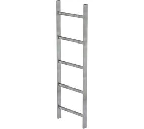 Roossien Stalen putladder, 5 sporten (440mm breed)
