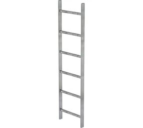 Roossien Stalen putladder, 6 sporten (440mm breed)