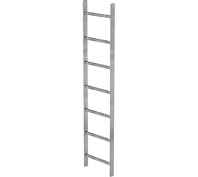 Roossien Stalen putladder, 7 sporten (440mm breed)