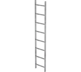 Roossien Stalen putladder, 8 sporten (440mm breed)