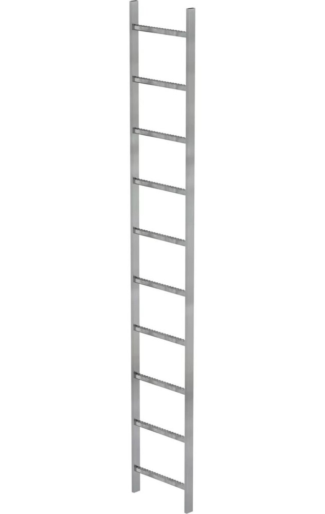Roossien Stalen putladder, 10 sporten (440mm breed)