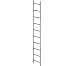 Roossien Stalen putladder, 10 sporten (440mm breed)