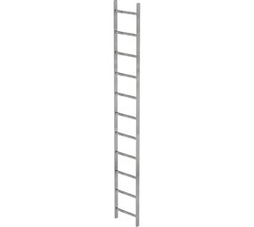 Roossien Stalen putladder, 11 sporten (440mm breed)