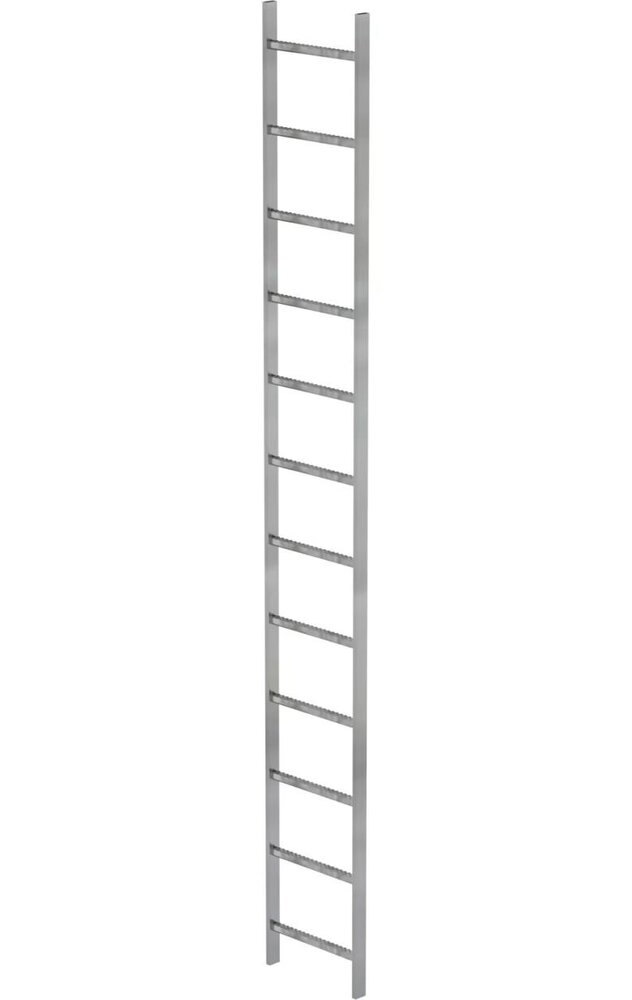 Roossien Stalen putladder, 12 sporten (440mm breed)
