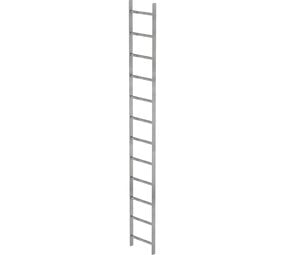 Roossien Stalen putladder, 12 sporten (440mm breed)
