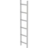 Roossien RVS 316 putladder, 6 sporten (340mm breed)