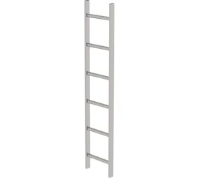 Roossien RVS 316 putladder, 6 sporten (340mm breed)