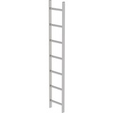 Roossien RVS 316 putladder, 7 sporten (340mm breed)