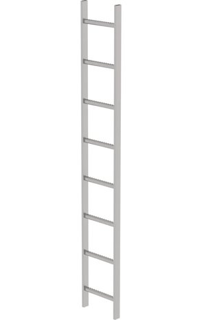 Roossien RVS 316 putladder, 8 sporten (340mm breed)