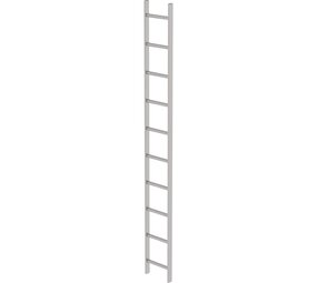 Roossien RVS 316 putladder, 10 sporten (340mm breed)