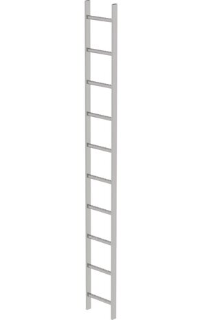 Roossien RVS 316 putladder, 10 sporten (340mm breed)