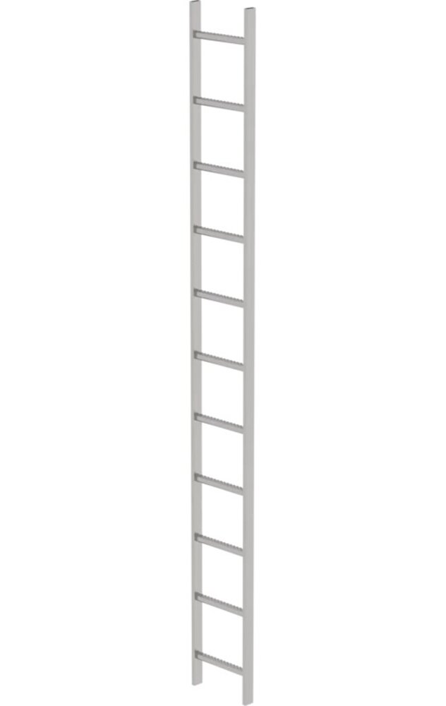 Roossien RVS 316 putladder, 11 sporten (340mm breed)
