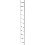 Roossien RVS 316 putladder, 11 sporten (340mm breed)
