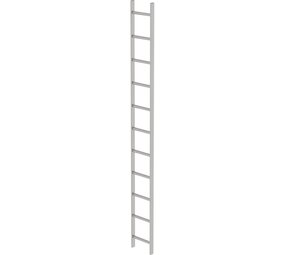 Roossien RVS 316 putladder, 11 sporten (340mm breed)