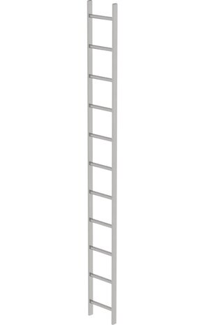 Roossien RVS 316 putladder, 11 sporten (340mm breed)