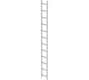 Roossien RVS 316 putladder, 12 sporten (340mm breed)
