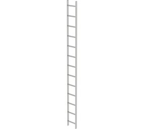 Roossien RVS 316 putladder, 13 sporten (340mm breed)