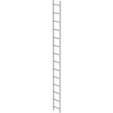 Roossien RVS 316 putladder, 14 sporten (340mm breed)