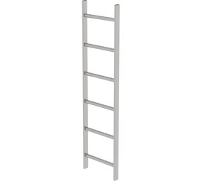 Roossien RVS 316 putladder, 6 sporten (440mm breed)
