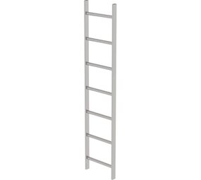 Roossien RVS 316 putladder, 7 sporten (440mm breed)