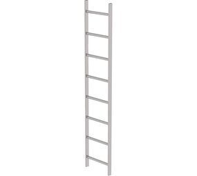 Roossien RVS 316 putladder, 8 sporten (440mm breed)