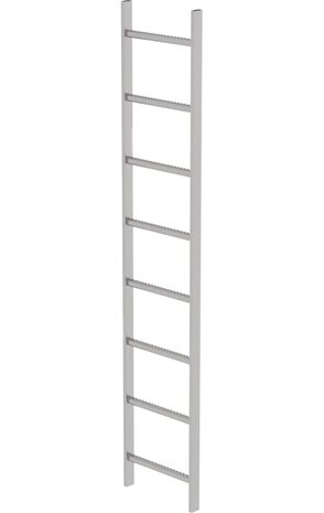 Roossien RVS 316 putladder, 8 sporten (440mm breed)