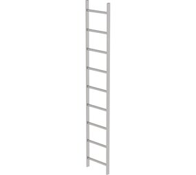 Roossien RVS 316 putladder, 9 sporten (440mm breed)