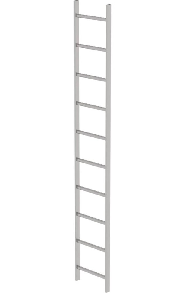 Roossien RVS 316 putladder, 10 sporten (440mm breed)
