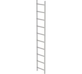 Roossien RVS 316 putladder, 10 sporten (440mm breed)