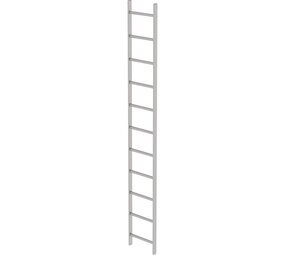 Roossien RVS 316 putladder, 11 sporten (440mm breed)