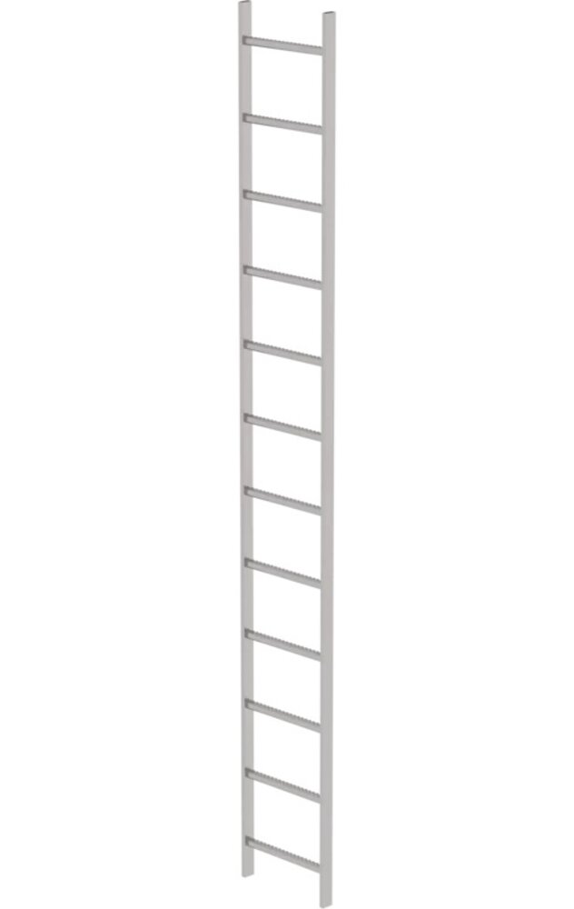 Roossien RVS 316 putladder, 12 sporten (440mm breed)