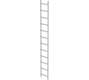 Roossien RVS 316 putladder, 12 sporten (440mm breed)