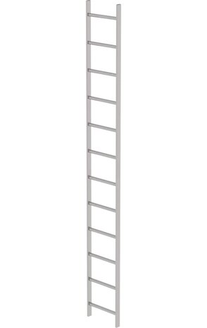 Munk RVS 316 putladder, 12 sporten (440mm breed)