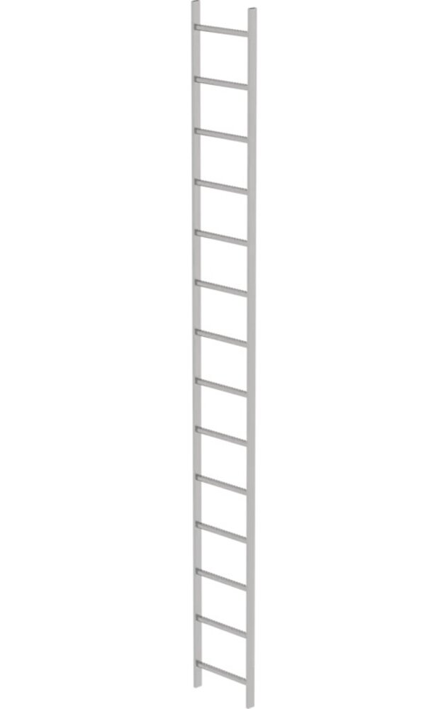 Roossien RVS 316 putladder, 14 sporten (440mm breed)