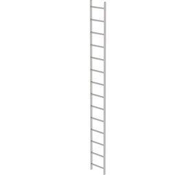 Roossien RVS 316 putladder, 14 sporten (440mm breed)
