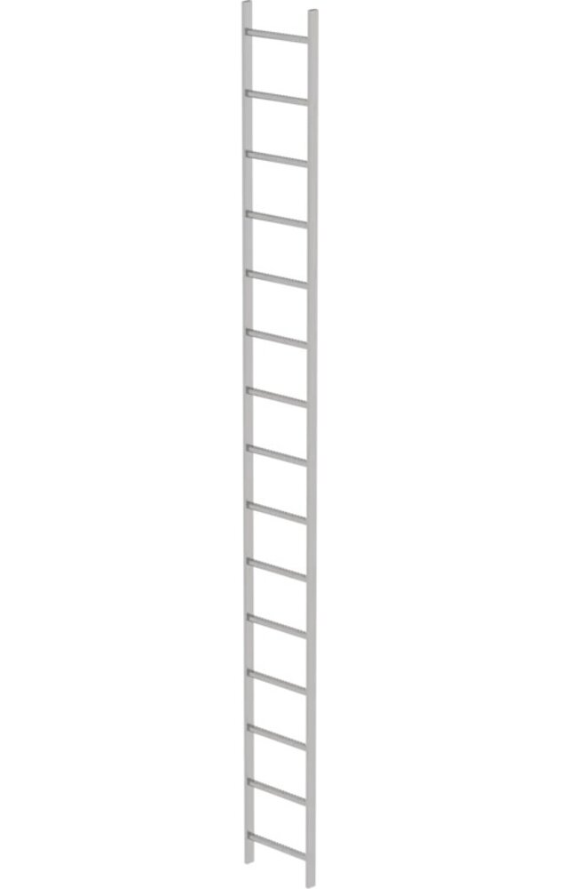 Roossien RVS 316 putladder, 15 sporten (440mm breed)
