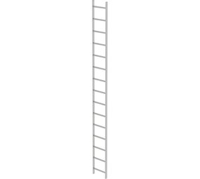 Roossien RVS 316 putladder, 15 sporten (440mm breed)