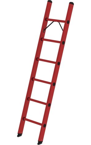 Roossien Volkunststof enkele ladder, 6 sporten