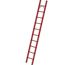 Roossien Volkunststof enkele ladder, 10 sporten