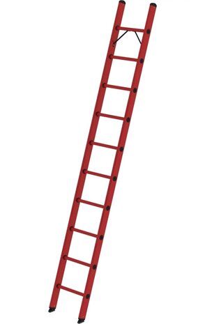 Roossien Volkunststof enkele ladder, 10 sporten