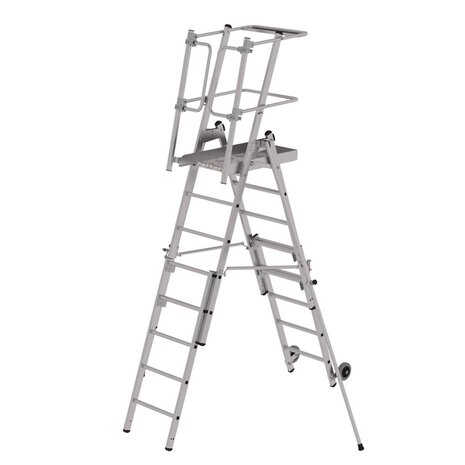 Roossien FlexxStep telescopisch, verrijdbaar, 5 + 3 sporten Roossien FlexxStep telescopisch, verrijdbaar, 5 + 3 sporten